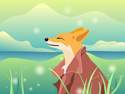 fox - 08/14/2019 at 10:22 AM