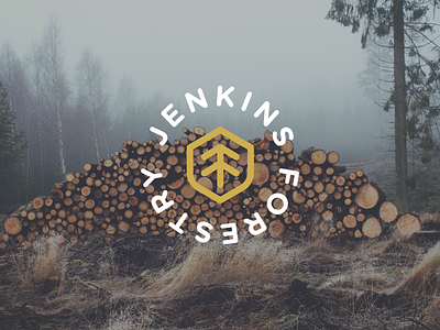 Jenkins Forestry branding forestry logo mark trees