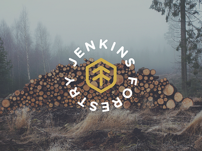 Jenkins Forestry