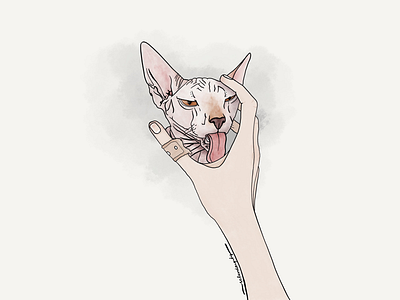 Doc band aid cat hand illustration pink sphynx