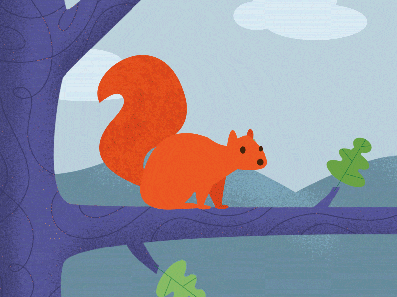 spring squirrel aftereffects animal animated animation blue design illustration illustrator joystick n sliders joysticksnsliders oak simple squirrel tree vector
