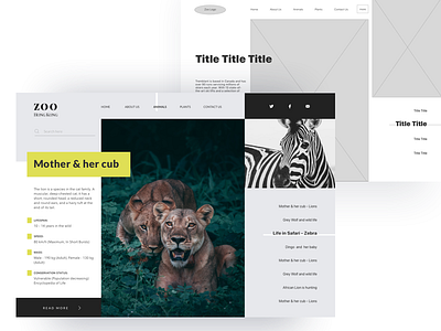 Web design concept animal minimal modern ui web website wireframe