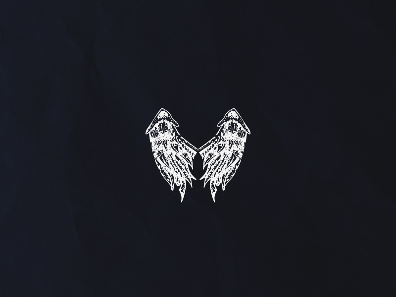 Wings Illustration by Alexander Stoilov on Dribbble