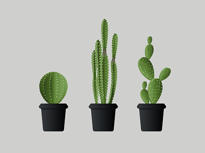 Cactus cactus creativesnack designerlife illustration indoor nature plant simple supplyanddesign