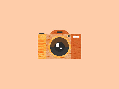 Wooden camera (Wood work)