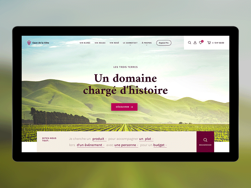 Wine distributor #2 – Homepage bio cellar formular hero homepage modern natural language form search ui vine webdesign wine
