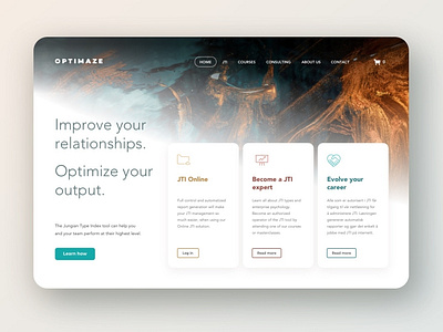 Homepage hero for Optimaze.