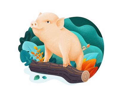 猪年-Year of the pig illustration pig