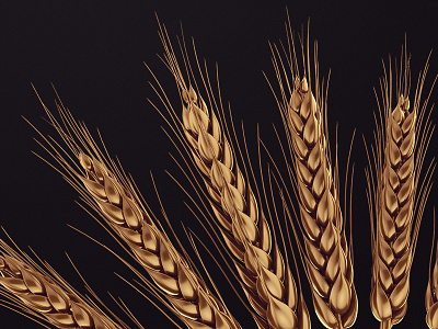 Golden Wheat 3d beer c4d cgi gold golden render vray wheet