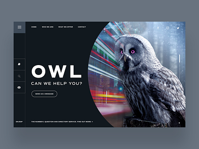 Owl CN We Help You Ui Design Concept daily design design inspiration graphic design logo design logo designer photography web design web designer web developer