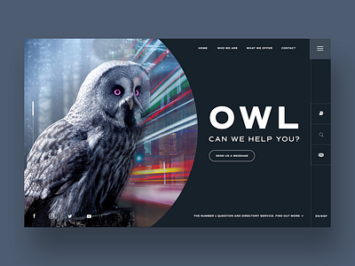 Owl Can We Help You? Web Ui Design Concept design daily design inspiration graphics photography ui ui design ux ux design web design web designer