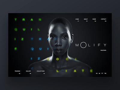 Molify website ui design concept design design daily design inspiration designer fashion graphic design graphic designer photography ui ui design ux ux design web web design web designer website