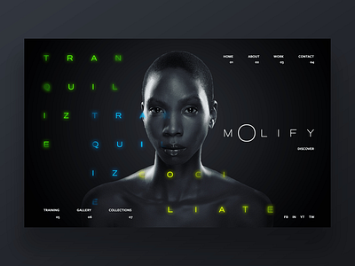 Molify website ui design concept