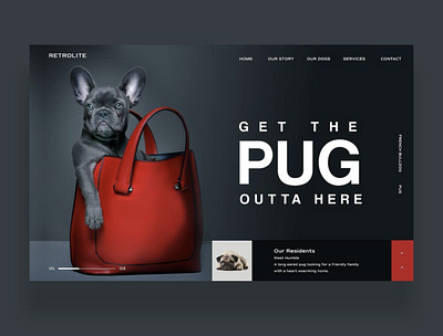 Get The Pug Outta Here Ui Design design inspiration dog french bulldog graphic design photography pug puppy ui ui design uiux ux ux design web design