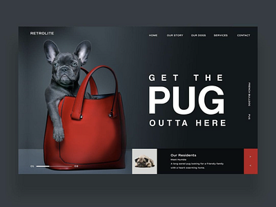 Get The Pug Outta Here Ui Design