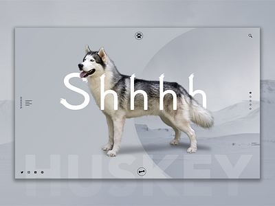 Shhhh (Siberian Huskey Healthcare Haircare Hospitality) daily design design inspiration graphic design ui ui design ux ux design web design