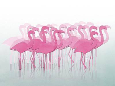 Flamingos flamingo illustration paper cut pink