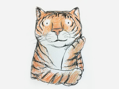 Tiger charcoal drawing pencil tiger