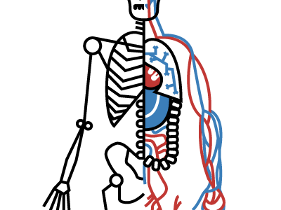 Human Body Examination blood body bones heart human illustration lungs organs skull veins