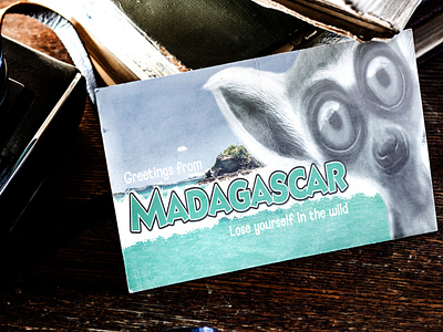 Visit Madagascar design digital art graphic design illustration