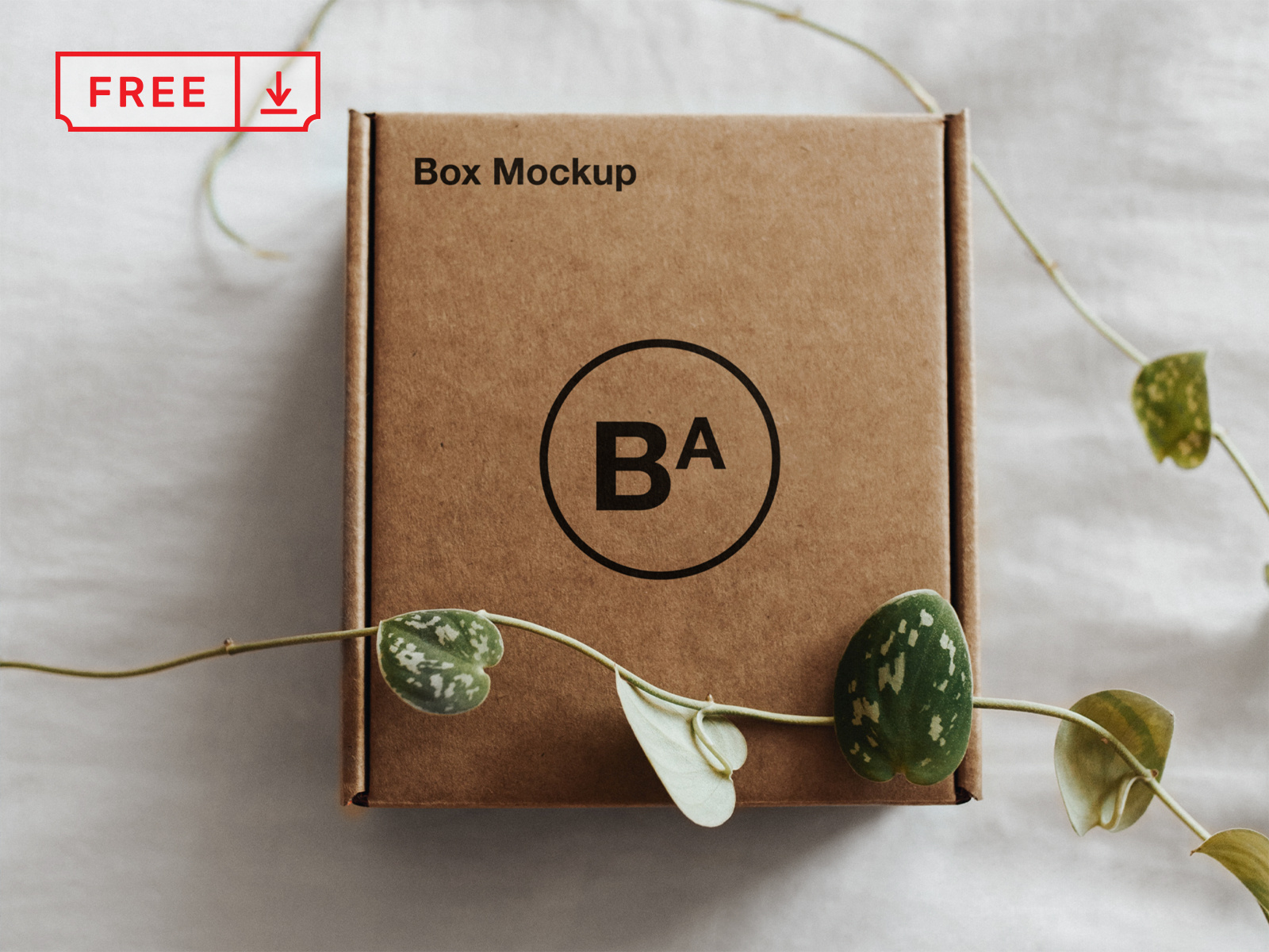 Download Free Craft Paper Box Mockup by Mr.Mockup™ on Dribbble