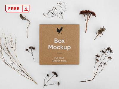 Free Small Box PSD Mockup