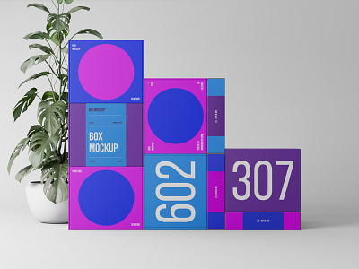 Box Mockups PSD scene