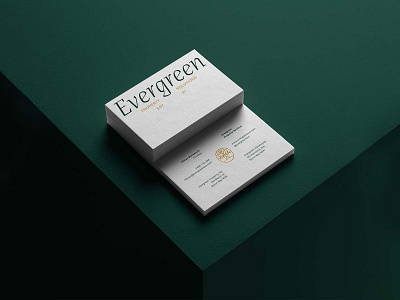 Business Card Mockups icon