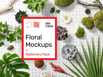 Floral PSD Mockups + Stationery Pack branding download floral identity logo mockup monstera palm plant psd stationery template