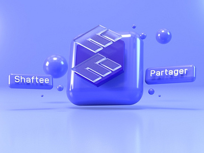 SHAFTEE 3D NETWORK