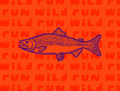 Run Wild badge branding branding design coho design fish illustration logo logo design nature rivers salmon wilderness