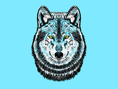 Wildlands Brewing Co. - Wolf Illustration arctic badge badge design beer brand identity branding branding design brewery canada craft craft beer design illustration logo logo design wilderness wildlands yukon