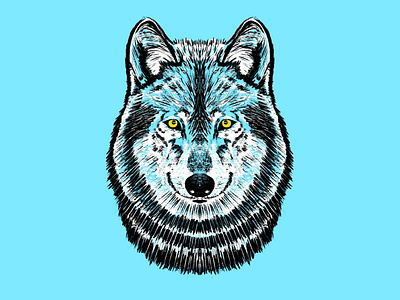 Wildlands Brewing Co. - Wolf Illustration