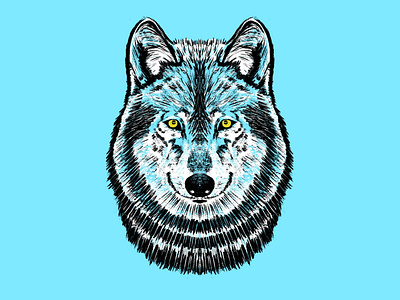 Wildlands Brewing Co. - Wolf Illustration arctic badge badge design beer brand identity branding branding design brewery canada craft craft beer design illustration logo logo design wilderness wildlands yukon