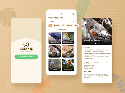 Local Birds Guide App application design mobile app design mobile design mobile ui uxui