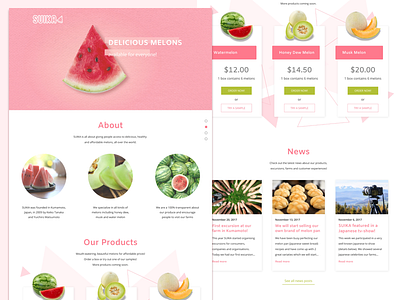 SUIKA Webdesign fruit landing page melons product product page ui ui design watermelon web web design web ui