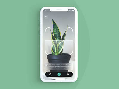 Plant App Scanner app appdesign branding concept design graphic design mobile plant plants productdesign scanner ui ux