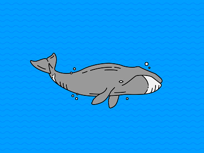 Whale bowhead branding illustration logo logomark ocean water whale