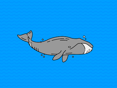 Whale