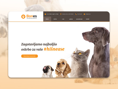 Bones - Pet Ambulance animals best care doctor dog responsive vet veterinarian web webdesign website www