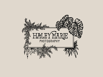 Haley Marie Photography branding hand drawn handlettering illustration logo logo design type typography