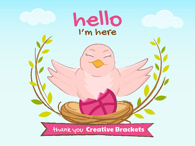 Hello Dribbble :) bird hello illustration nature vector