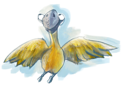 Parrot bird illustration parrot practise