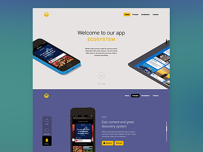 App Landing Page