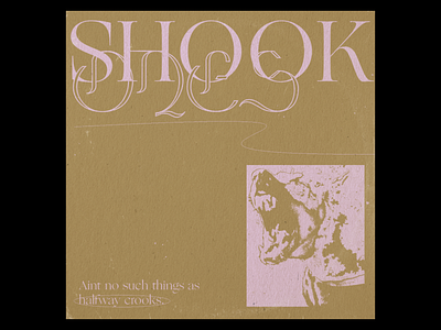 Shook Ones album album art album artwork cardboard cover art cover design textures