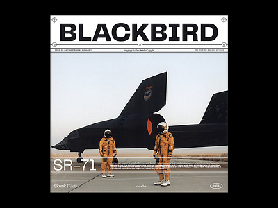Blackbird album album art album cover album cover design cover art cover design font texture type typeface