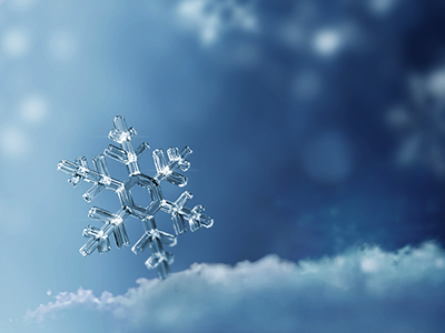 Snowflake 3d c4d snowflake winter