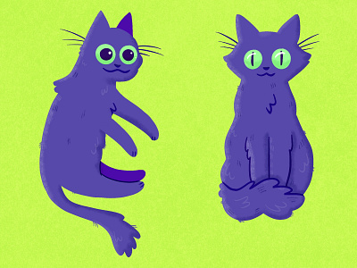 kitty cat illustration pet portrait procreate
