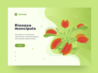 Illustrator-new-01 design hello dribbble illustration sketch ui 插画 渐变