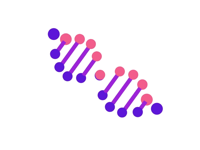 Design DNA matched after effects animation blue debut dna dynamic edit gif pink purple vector
